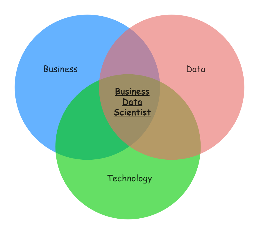 What is a Business Data Scientist ?